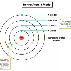 Orbits electrons distribution electron shell teachoo nucleus