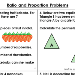 Lesson 3 working with ratios and proportion