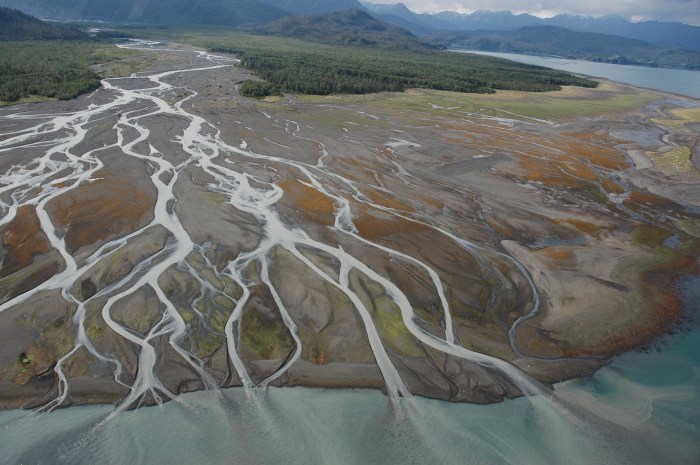 Case study bull river estuary answer key