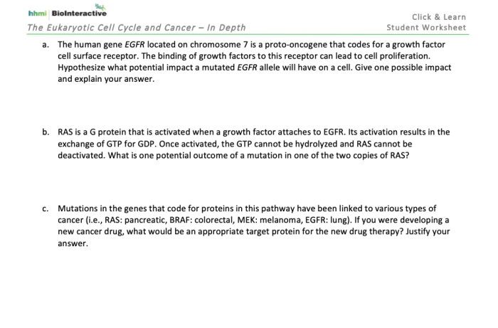 Hhmi eukaryotic cell cycle and cancer answers