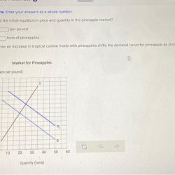 The graph below shows the market for pineapples