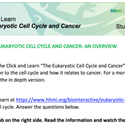 Hhmi eukaryotic cell cycle and cancer answers